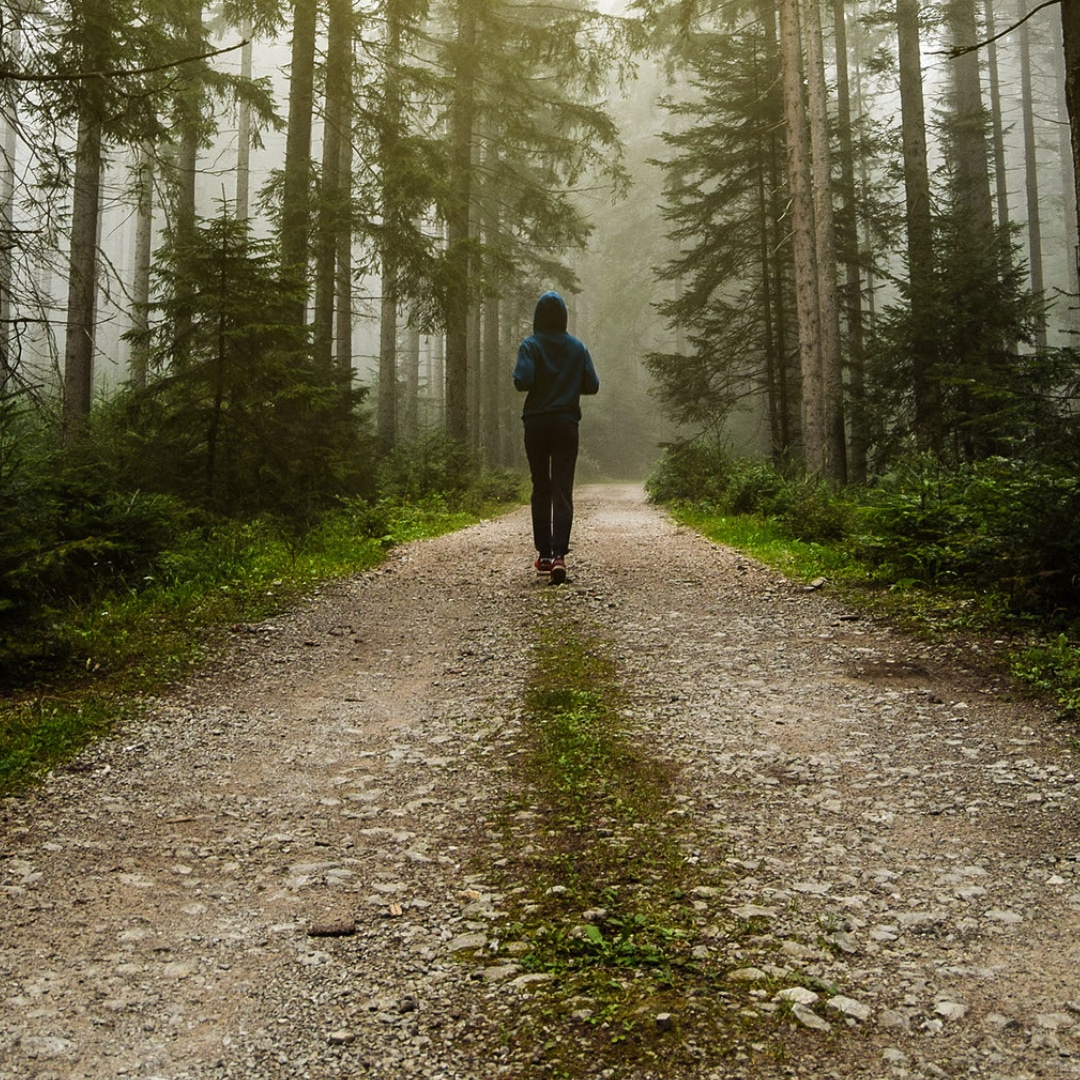 Woman walking down a wooded path alone to depict how Counseling can help with different types of loss to bring peace.