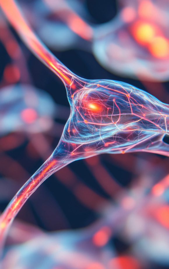 attention deficit hyperactivity disorder A colorful depiction of attention deficit hyperactivity disorder nurons in electric red and blue.